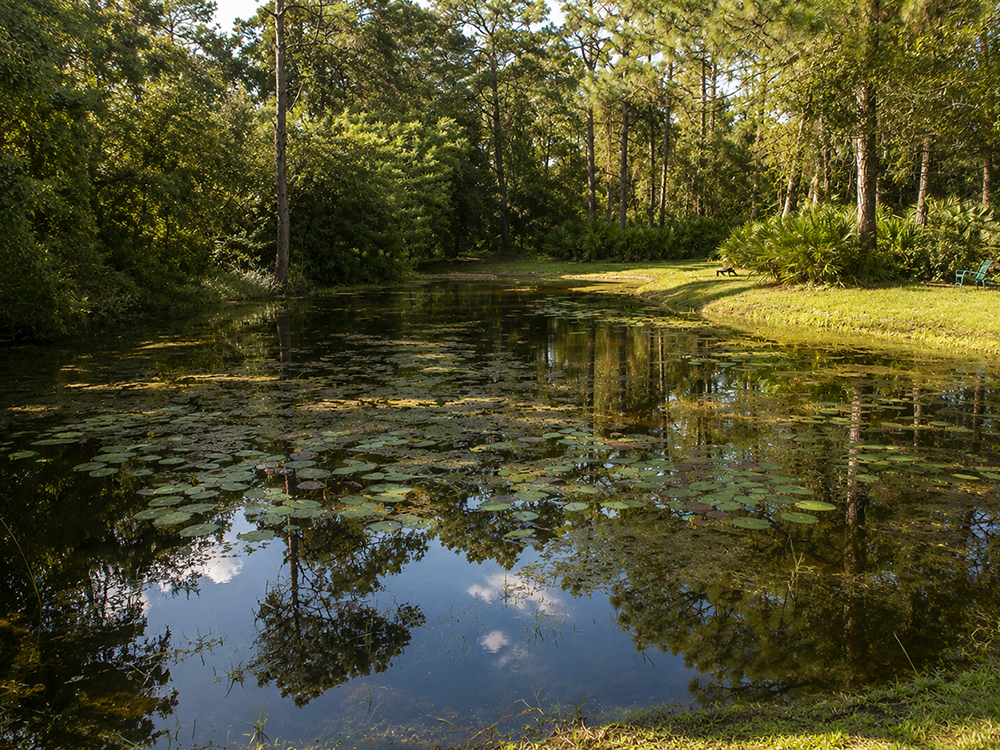 Bird sanctuary